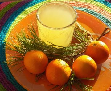 Mandarinka-jedľa nápoj s vitamínom C. Vianočné novinka 2020!