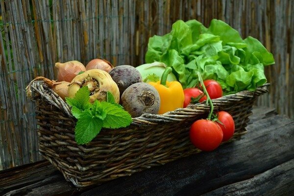 Sezónna zelenina je zdravšia. (Foto: Pixabay.com)