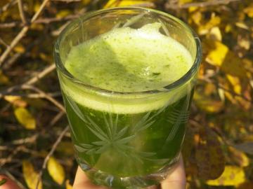 Medicinalest green kokteil z Neumyvakina