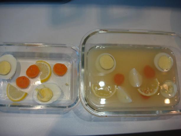 Odfotiť autorom (publikované citrón, vajcia a mrkva vývar zatopené) 