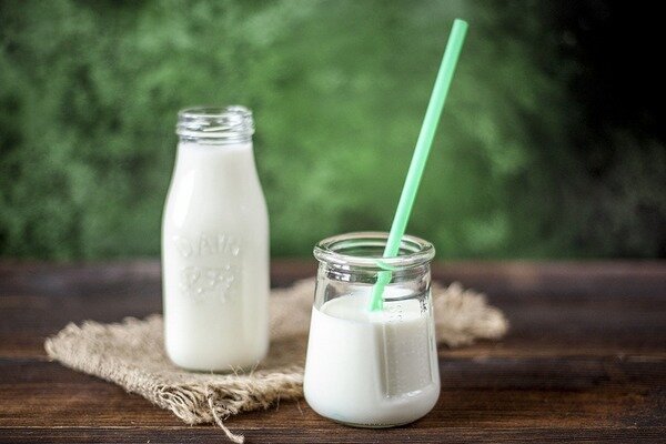 Fermentované mliečne výrobky - dodávatelia probiotík (Foto: Pixabay.com)