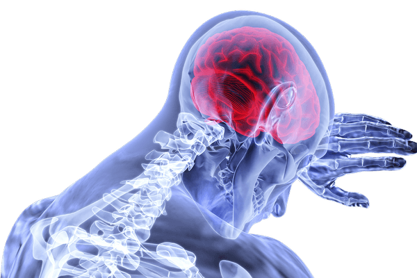 Mozgové bunky pri konzumácii odumierajú, ale majú tendenciu sa regenerovať (Foto: Pixabay.com)