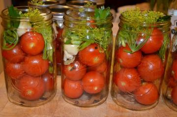 Marinované paradajky "Zadonsk" na zimu