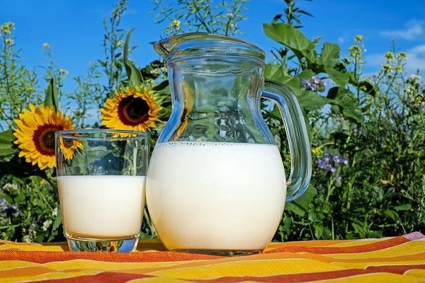 Lepšie je nakupovať mlieko zo súkromných fariem (Foto: Dreamstime.com)