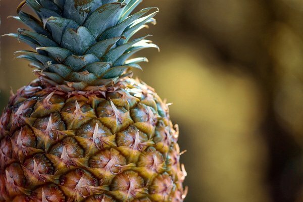 Zjedzte pár plátkov ananásu a váha sa rozpustí. (Foto: Pixabay.com)