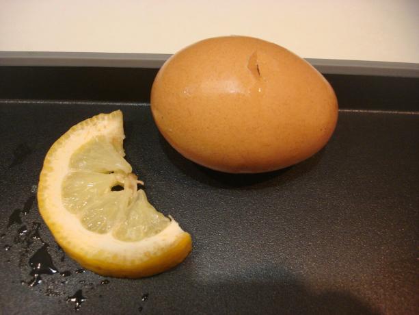 Odfotiť autorom (citrón, vajcia)