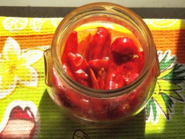 Hot paprika na mäso, čo zlepšuje črevnú peristaltiku
