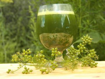 Piť z baktericídne cilantro koriandra
