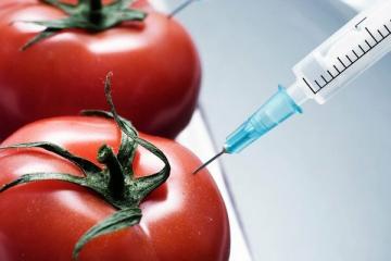 10 GMO potravín, ktoré jeme a ani o tom nevieme
