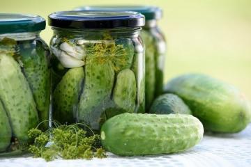 TOP 10 chýb pri nakladaní uhoriek: ako získať chrumkavé predjedlo?